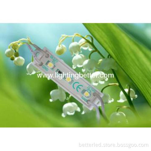 White color advertising DC12V LED 3leds module with plastic cover